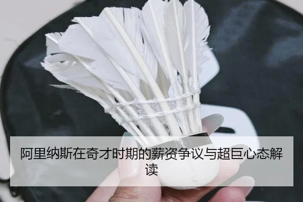 阿里纳斯在奇才时期的薪资争议与超巨心态解读